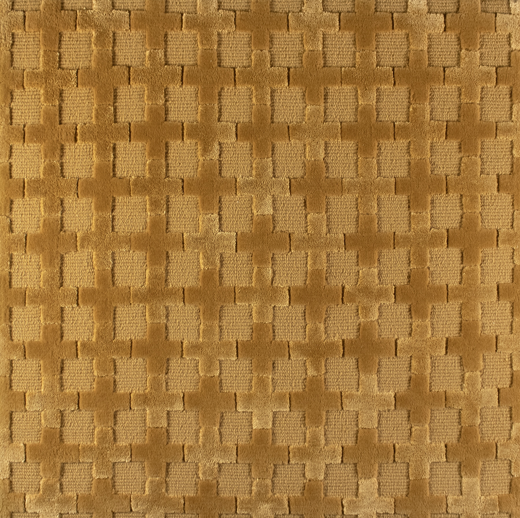Conte Sample | 24" x 24"